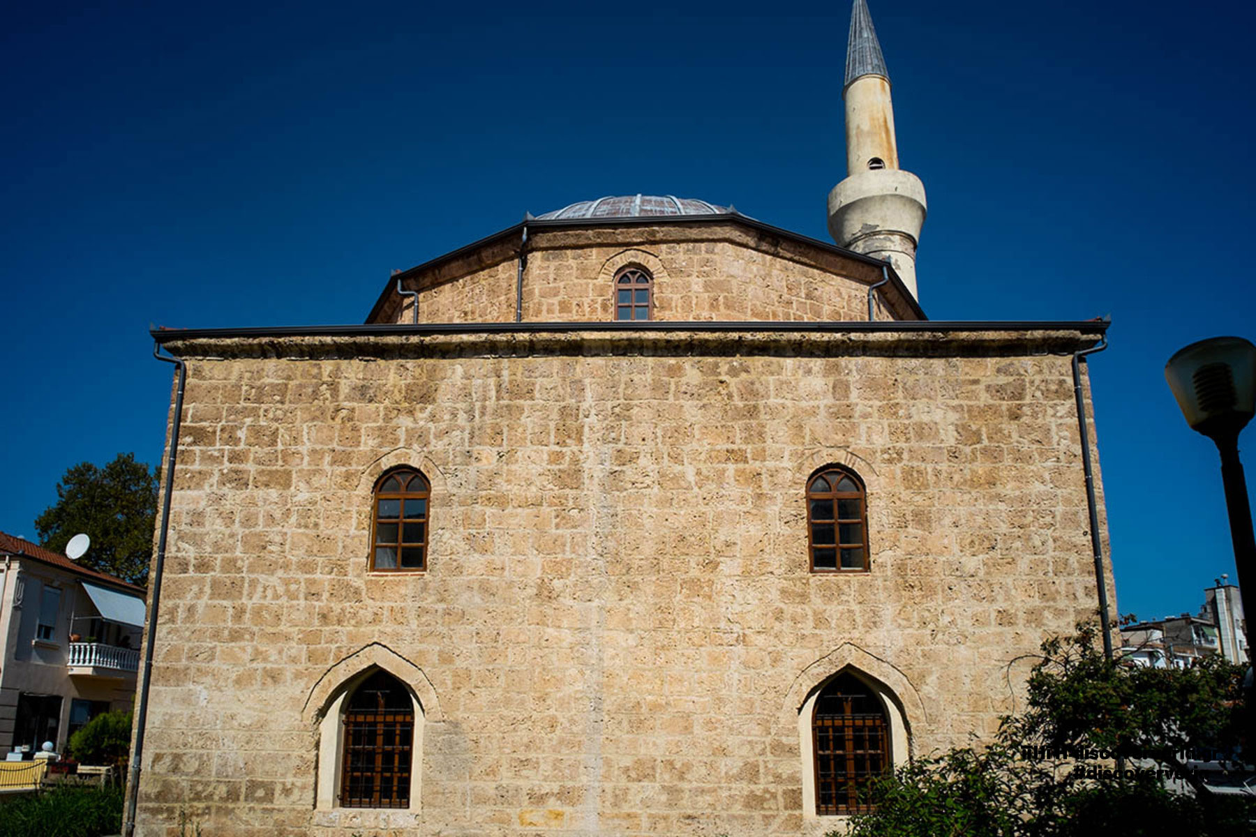 Image Alt